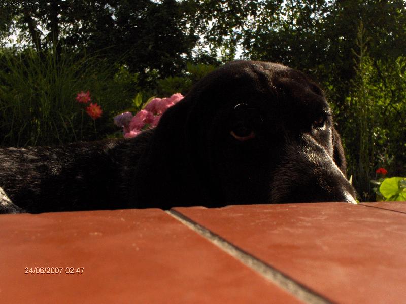 Foto: kuk