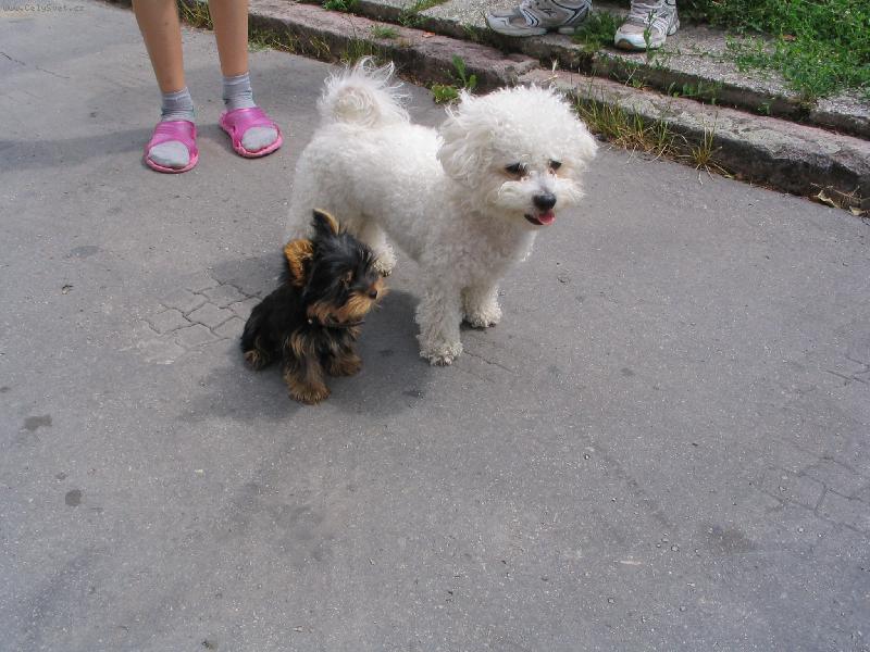 Foto: Sisi a Riki