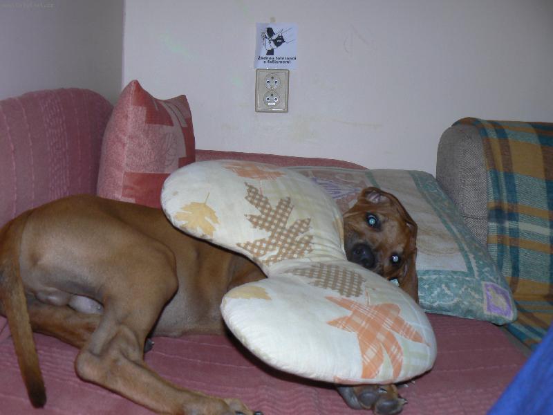 Foto: daxi