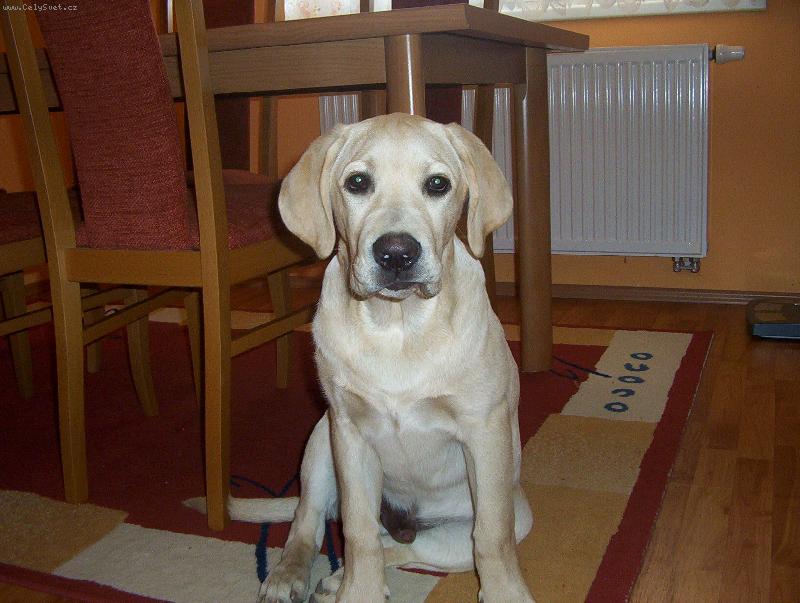Foto: Max-kukuk