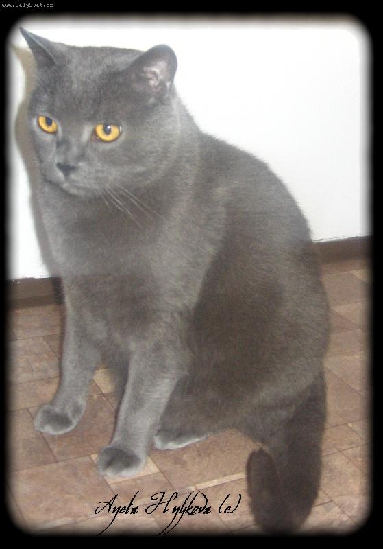 Foto: Sed�c�