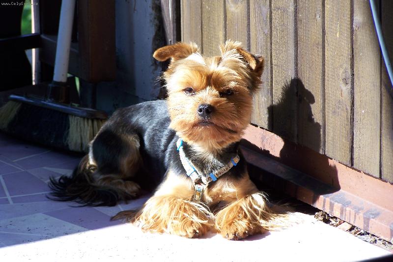 Foto: sandy