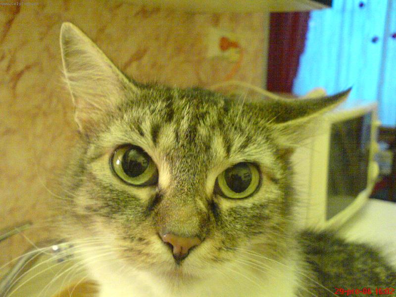Foto: daduse-daduse