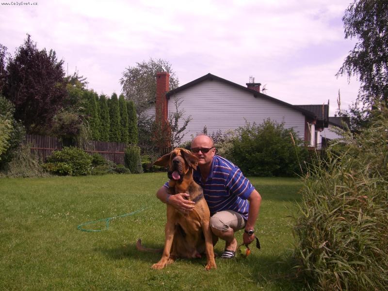 Foto: Verdel