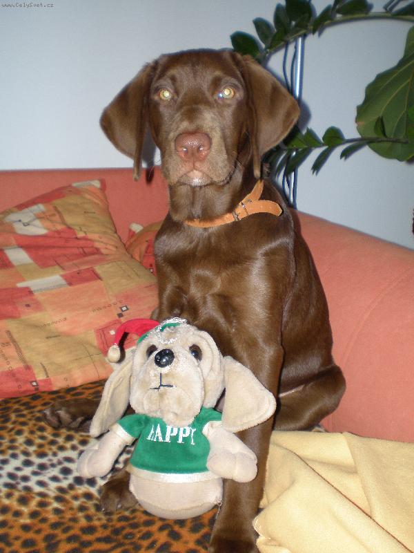 Foto: Betka