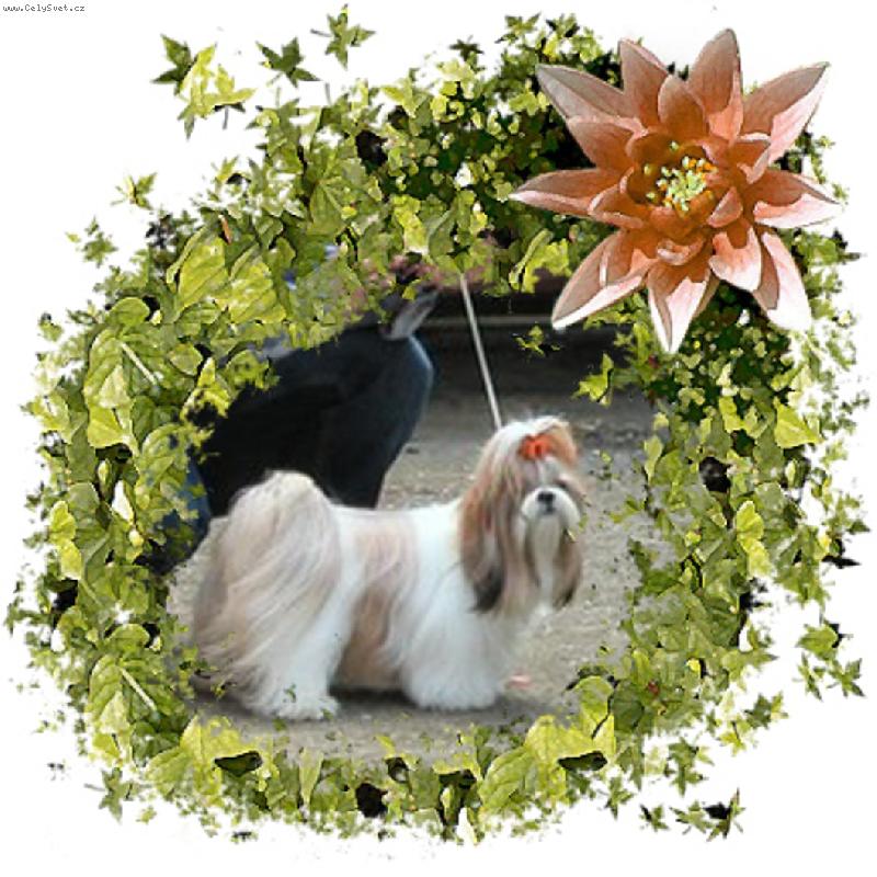 Foto: Zinalda Atrei