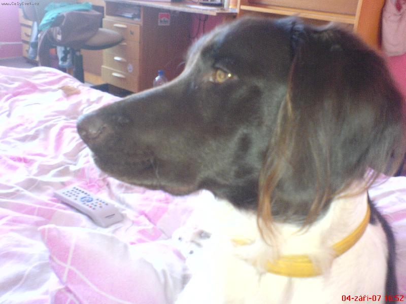Foto: Argou�ek