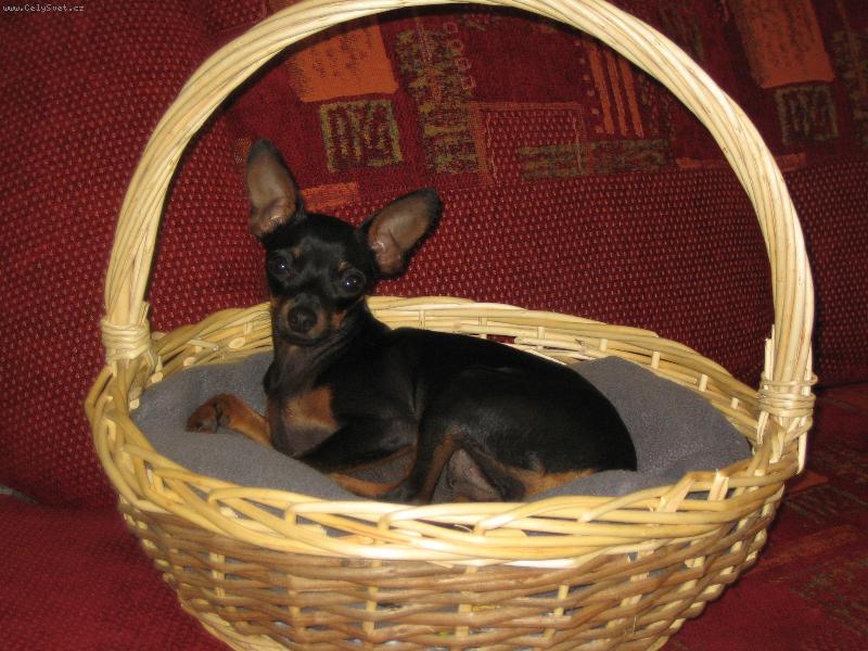 Foto: Zorinka