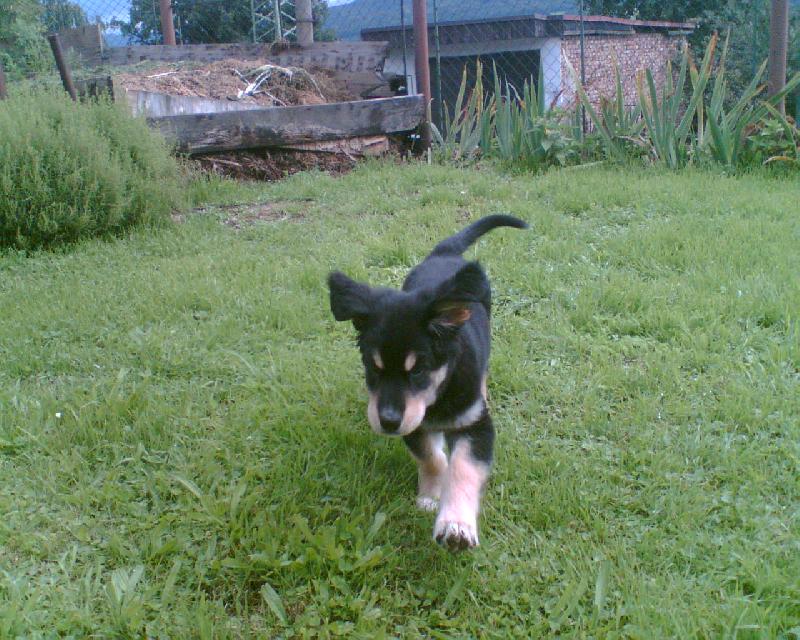 Foto: Akou�ek