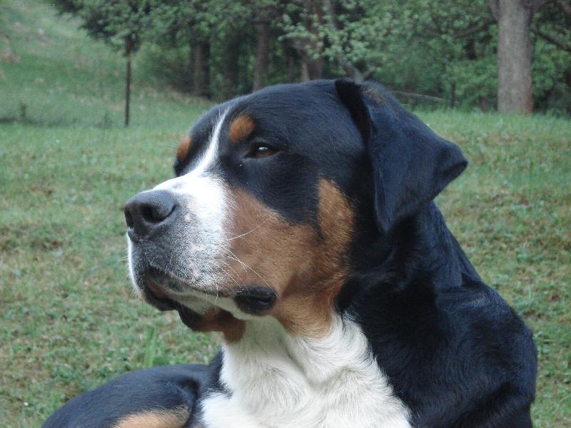Foto: Jathos