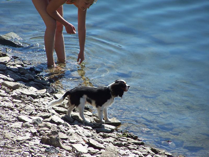 Foto: Lucky u vody