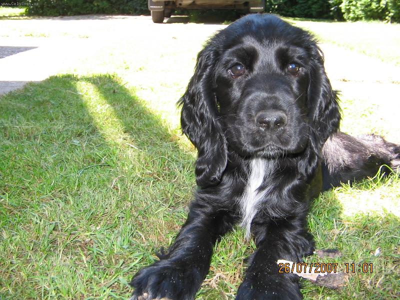 Foto: Meggie