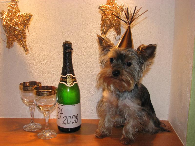 Foto: Felix-Pf 2008