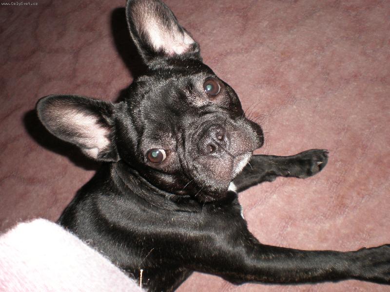 Foto: Mia