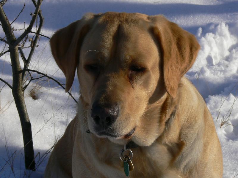 Foto: Nelly