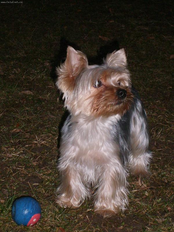 Foto: Kessy