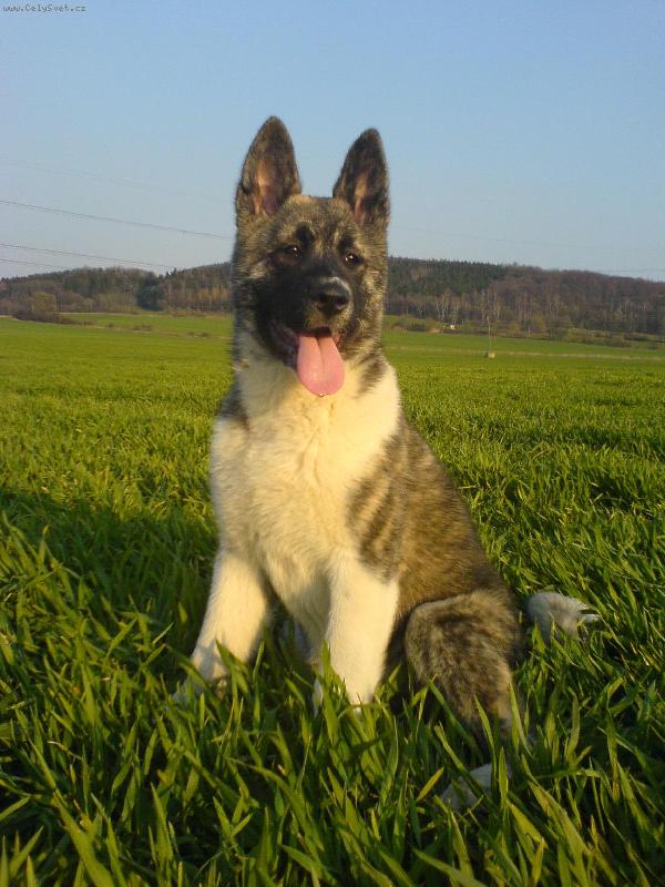 Foto: Jaro