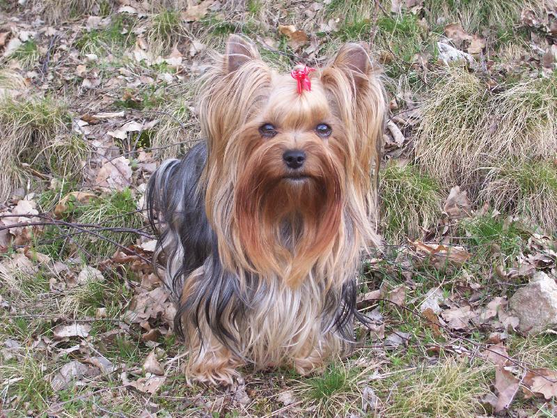 Foto: Bessy-Bessy