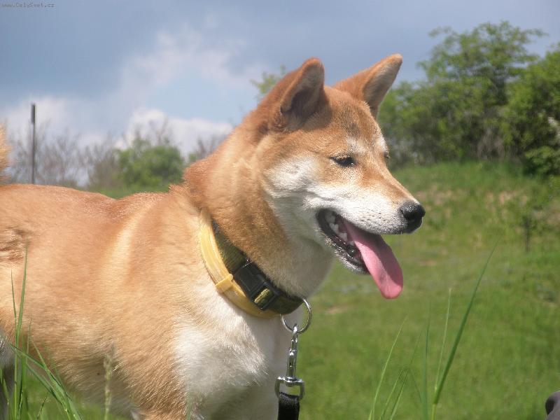 Foto: Casper