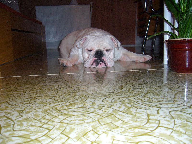 Foto: Monty n� �len-jeho nej. poloha