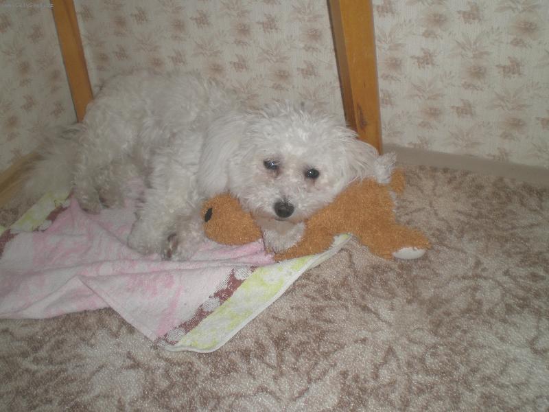 Foto: Dobrou!