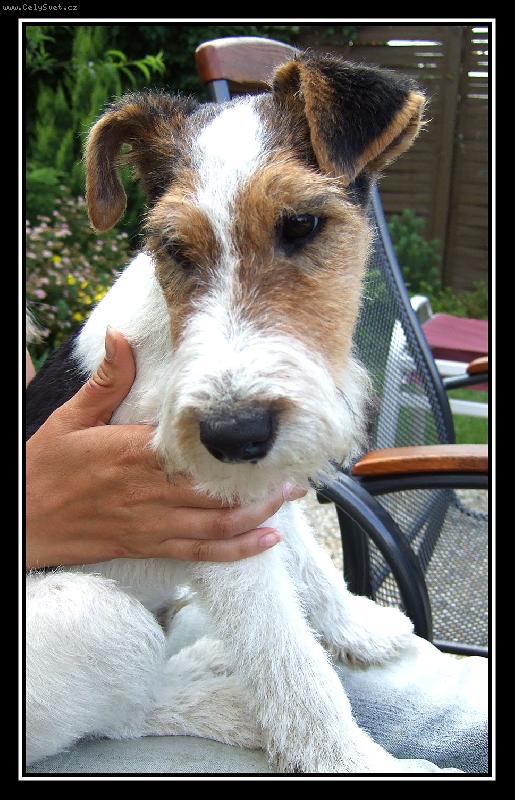 Foto: Ben