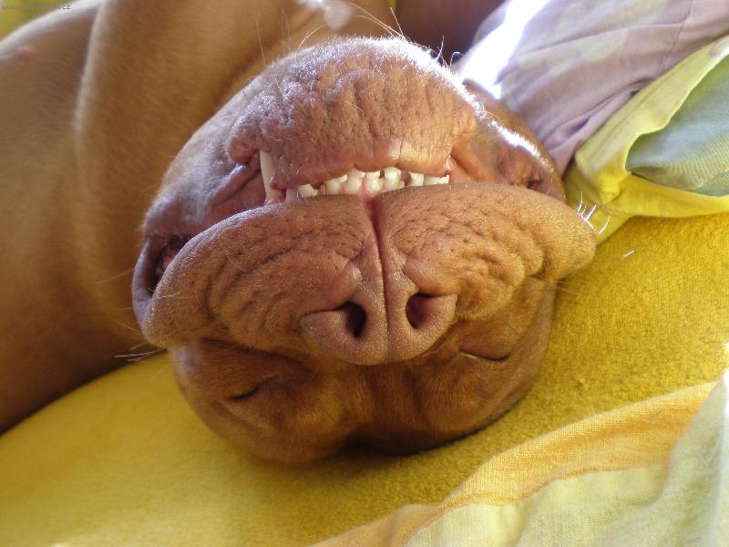 Foto: Happy smile