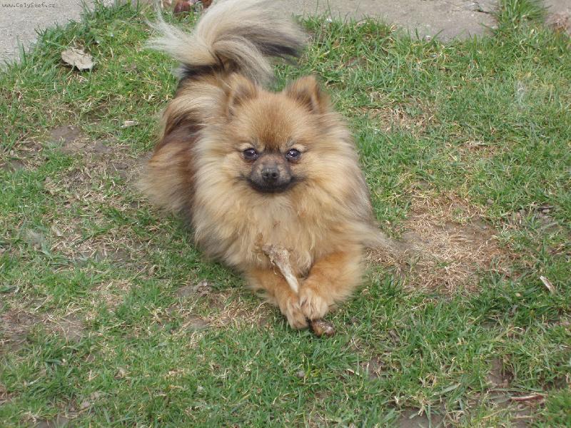 Foto: Angie