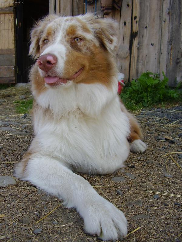 Foto: Model