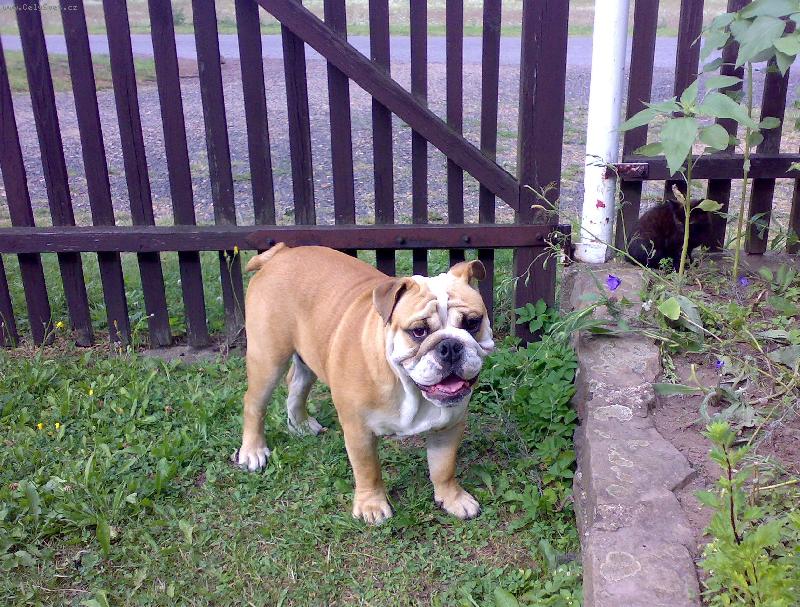Foto: BARNEY