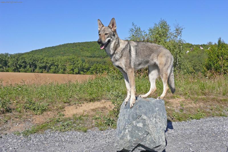 Foto: Annie-Na kameni