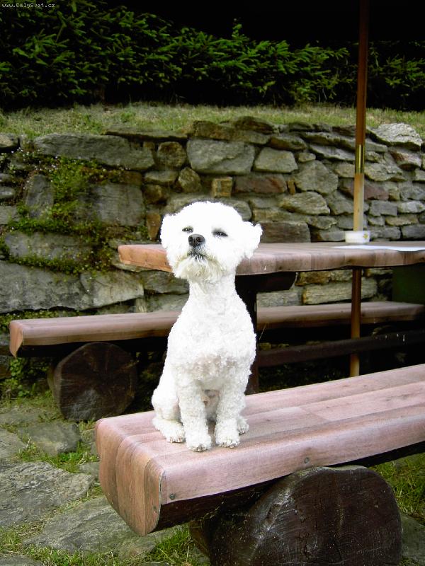 Foto: Toby