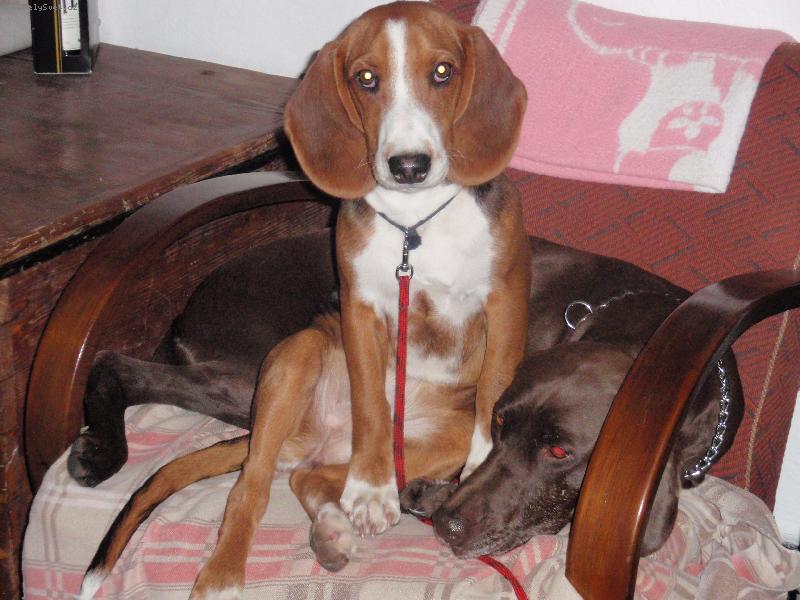 Foto: Aki a Odeta