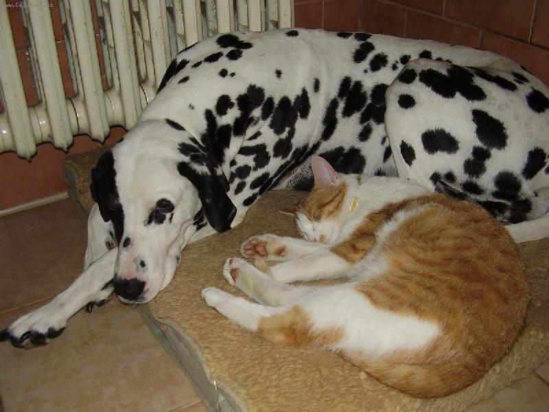 Foto: Agi a Luty