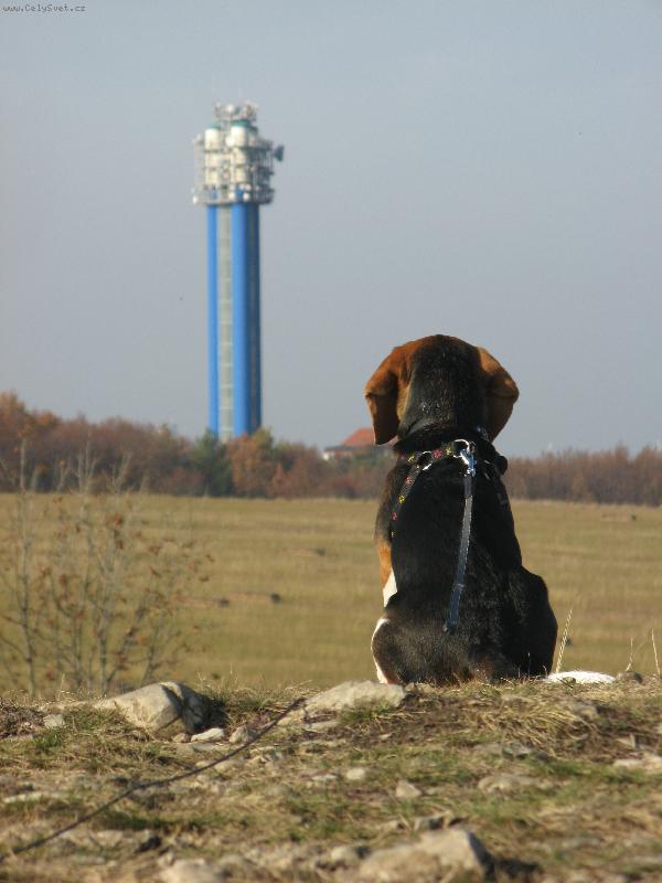 Foto: Ma�o-Ma�o
