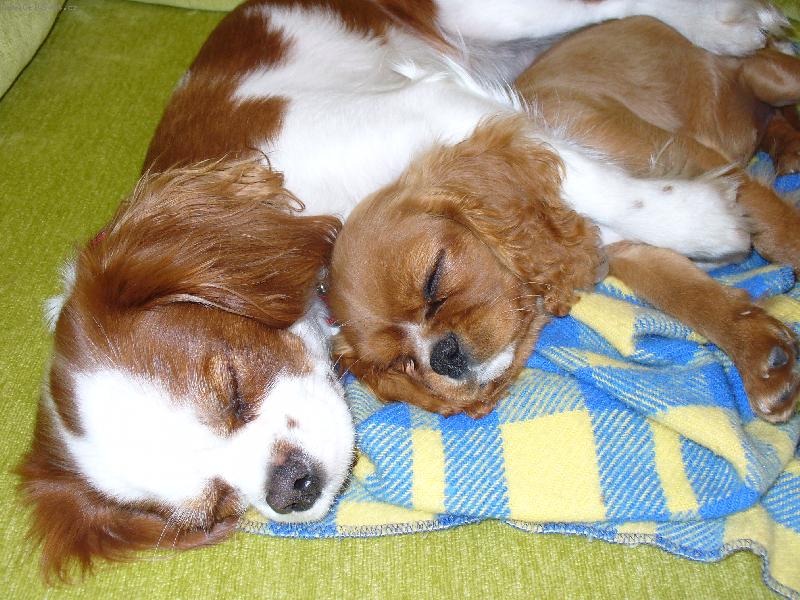 Foto: Nelly a Ketty