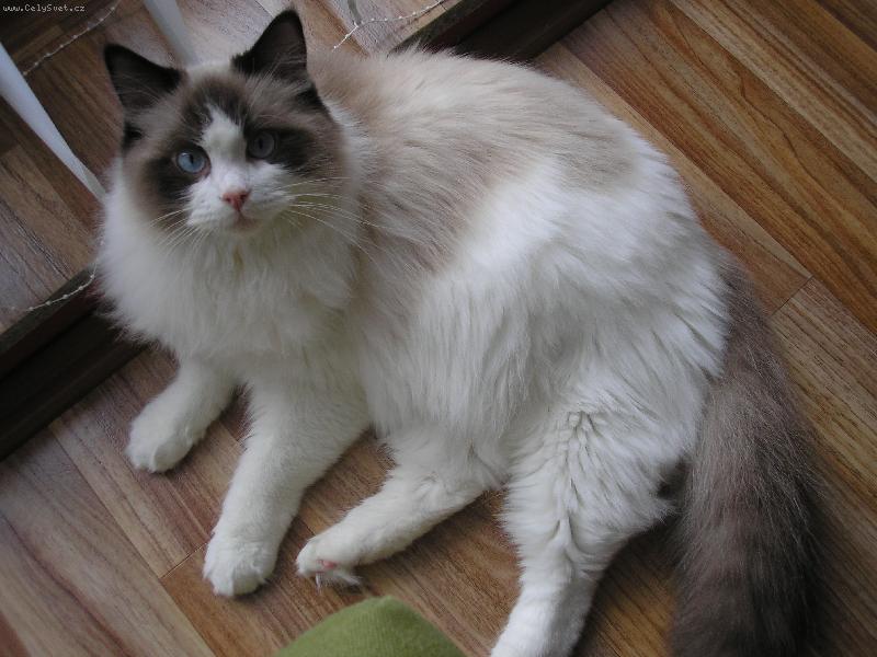 Foto: Samuel