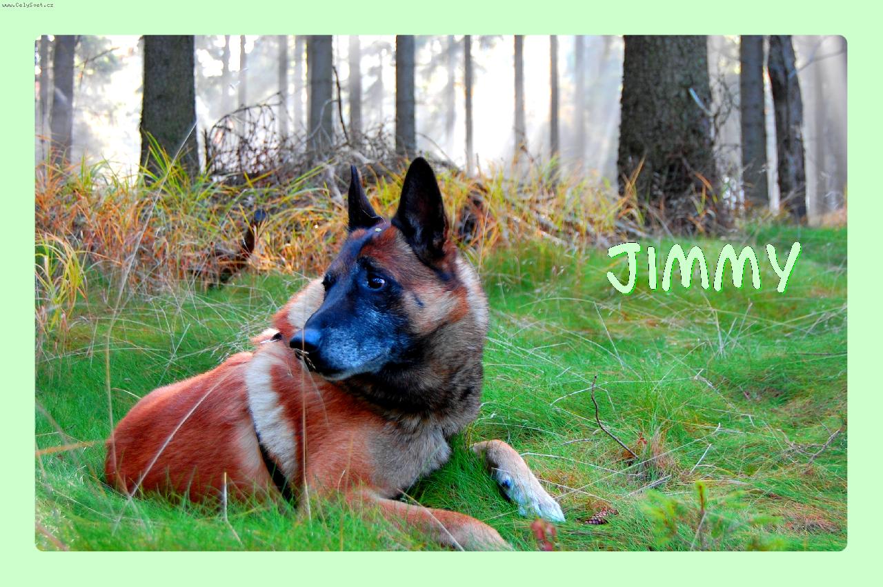 Foto: Jim�nek