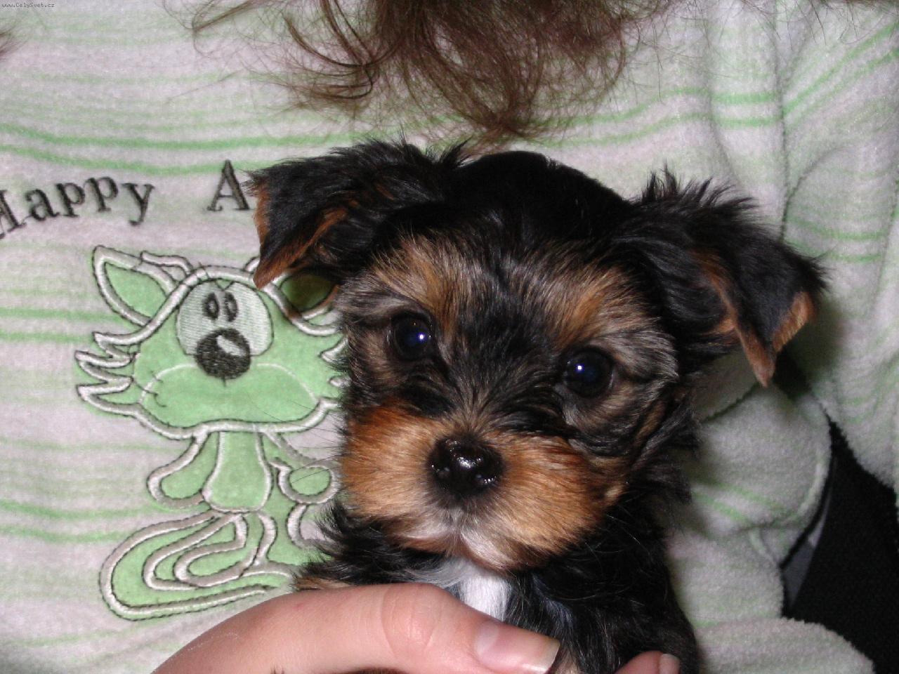 Foto: Aimee-mimi