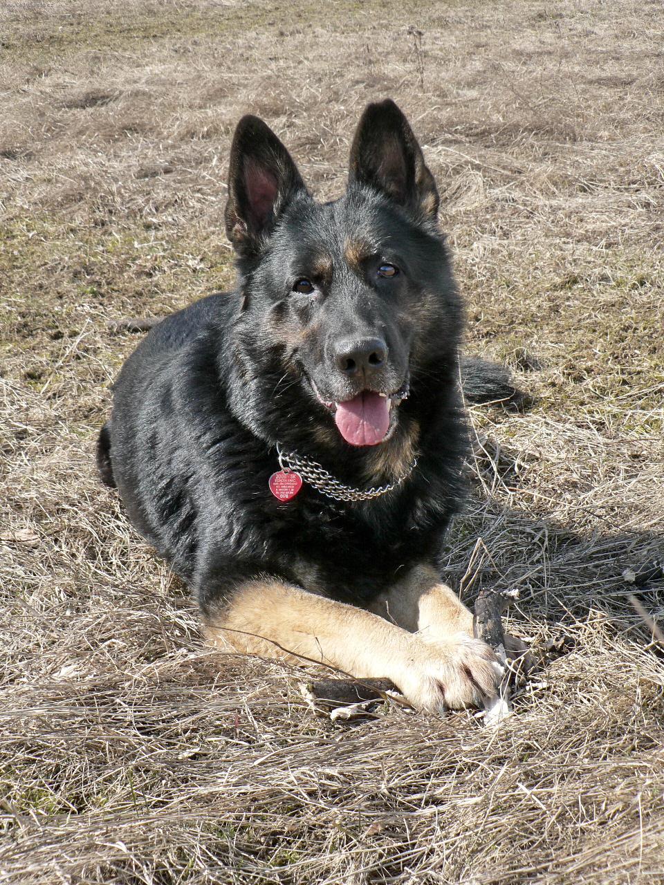 Foto: Gera