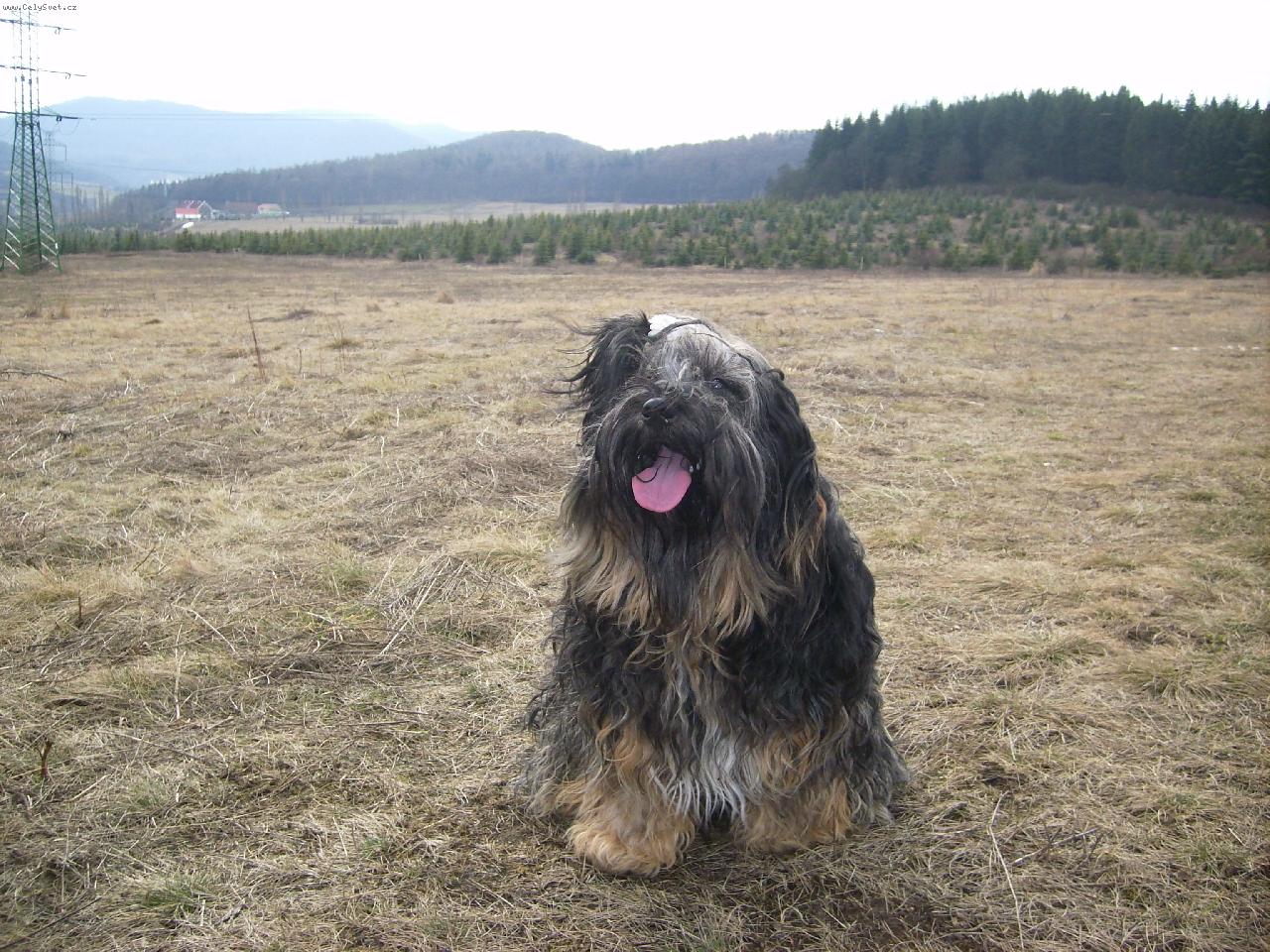 Foto: Siddhi-Siddhi