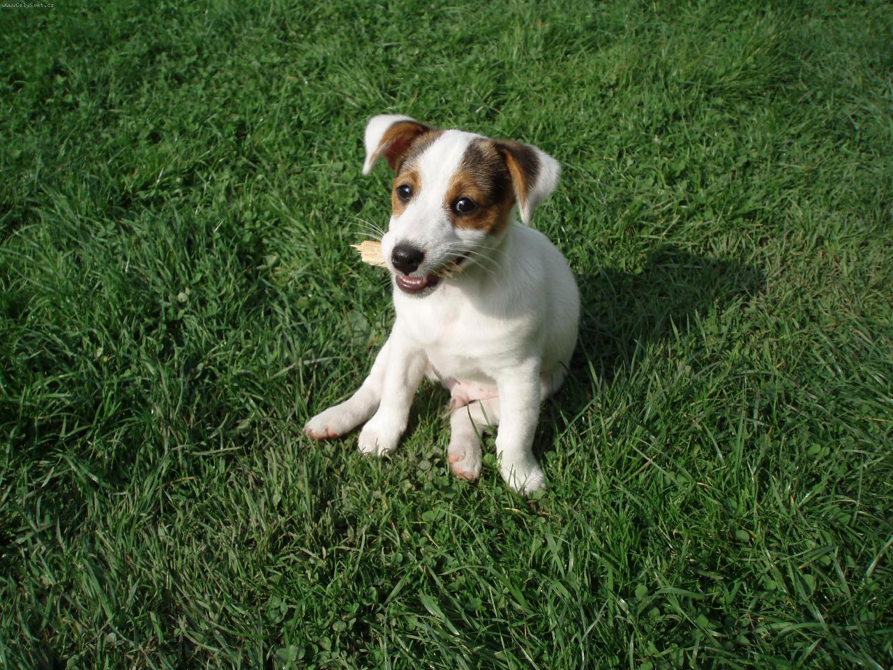 Foto: johny