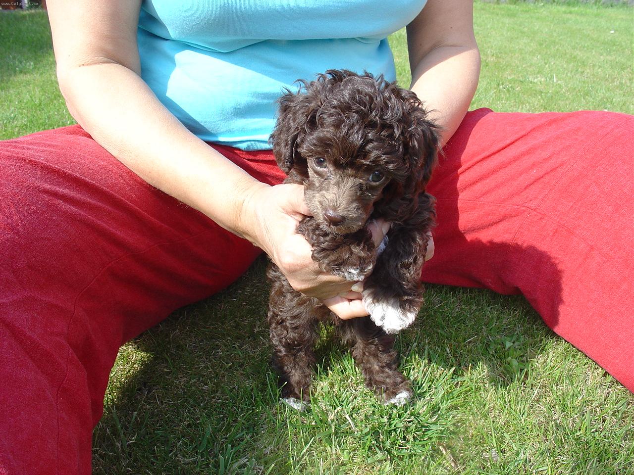 Foto: betty