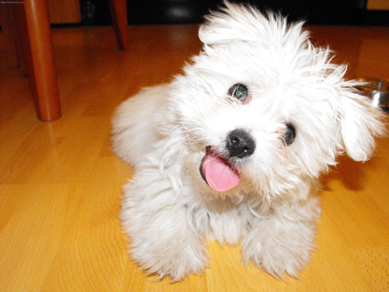 Foto: M�a, Mi�ulka-Kuk!!!