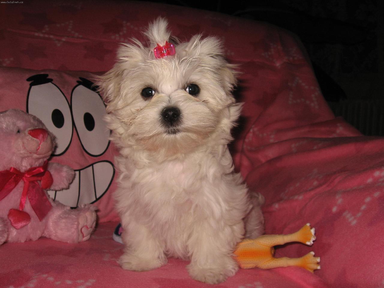 Foto: Larinka