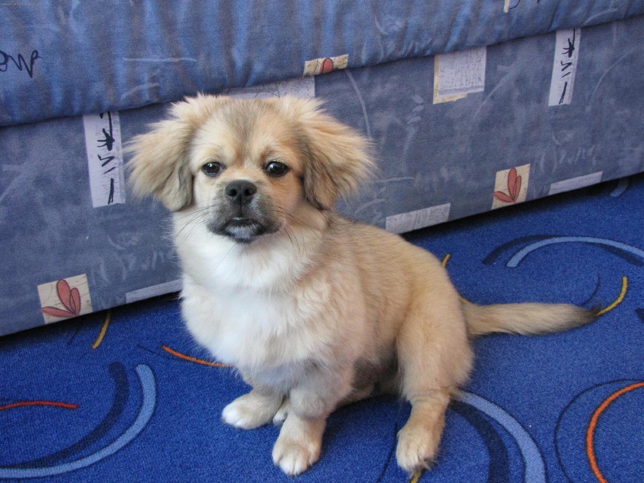 Foto: Pascha