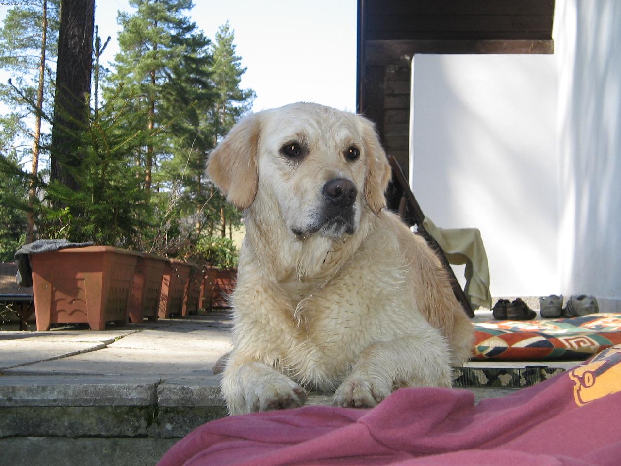 Foto: Sunny