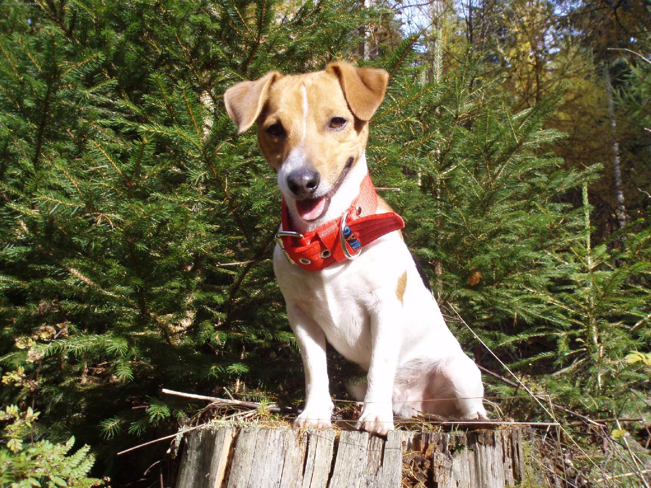 Foto: Monty