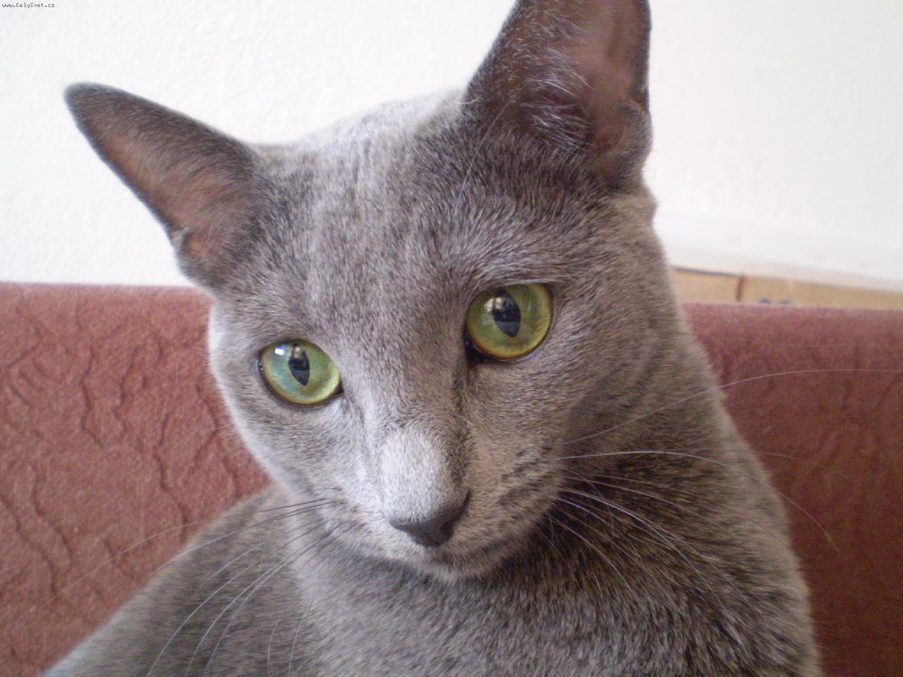 Foto: Leont�nka