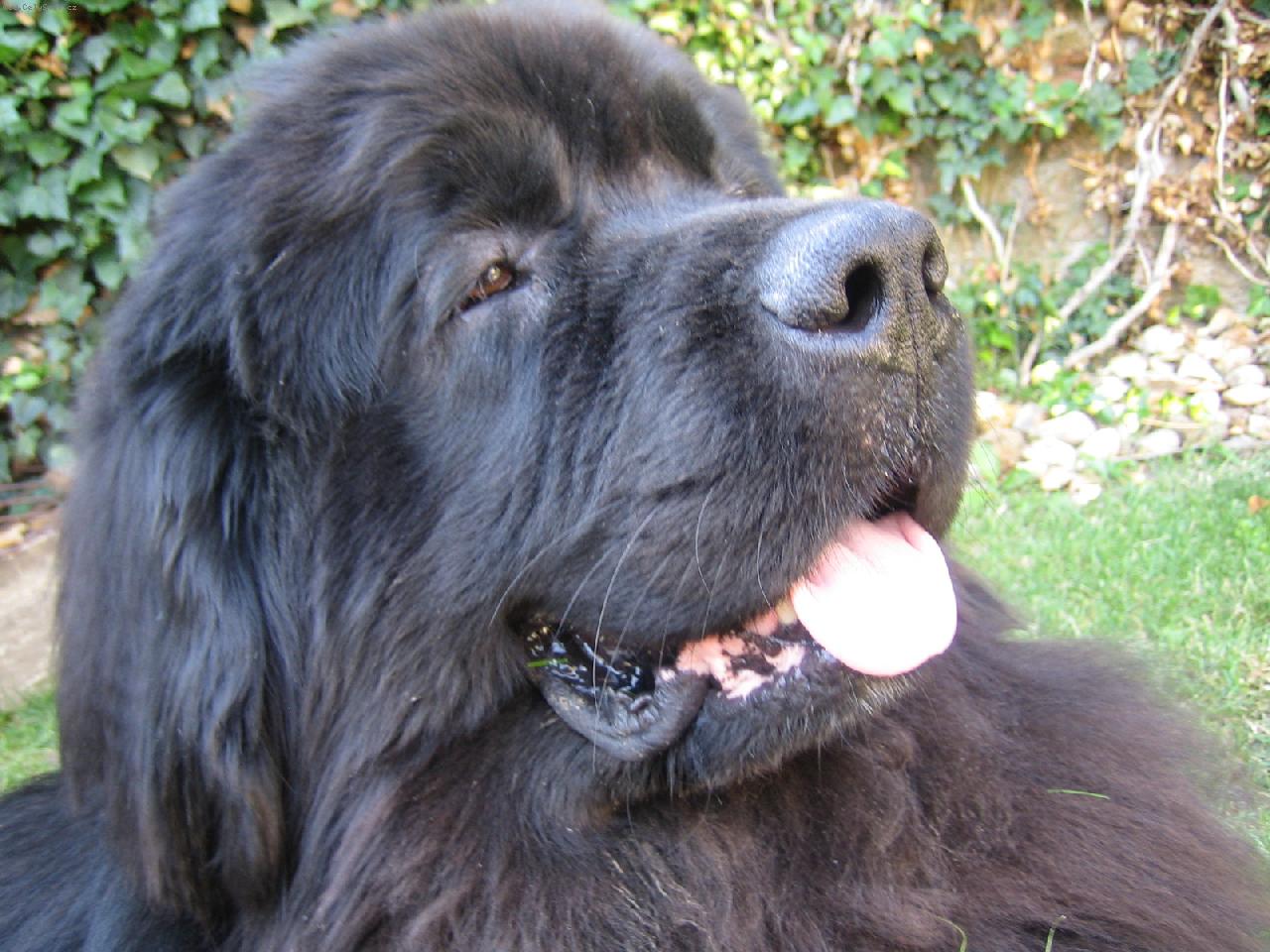 Foto: Barney